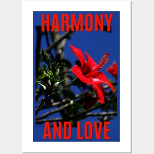 Harmony and love with red hibiscus Posters and Art